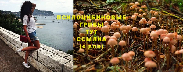 МДМА Анжеро-Судженск
